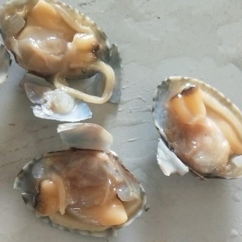 无沙花甲