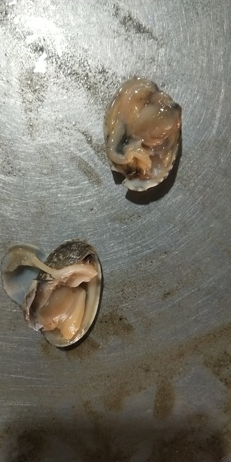 无沙花甲