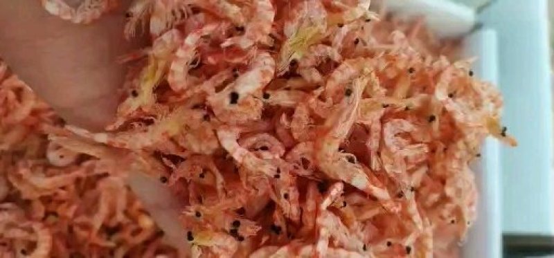 南极鳞虾皮，干度八成以上，低盐分，颜色好看。
