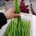 精品线椒