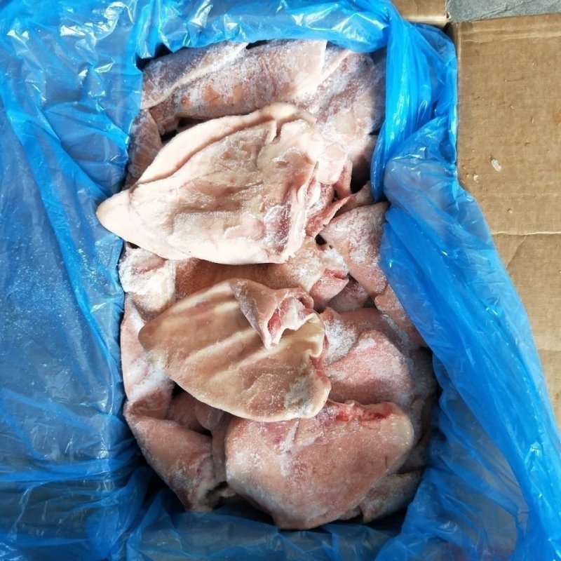 冷冻猪耳朵猪耳片猪耳尖耳片10斤无根猪