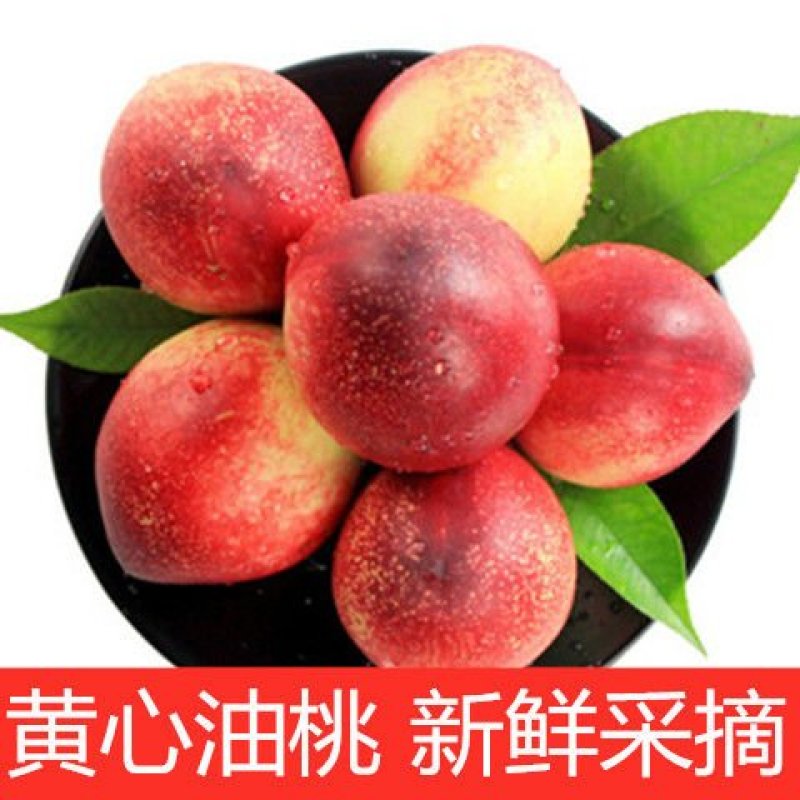 现摘现发山西运城黄心油桃新鲜水果现货大桃子各种品种