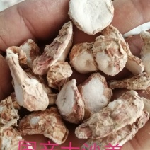 沙姜、山奈，进口小圆片和国产大片均有现货供应