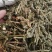灵香草，颜色青绿干度足够的灵香草现货供应