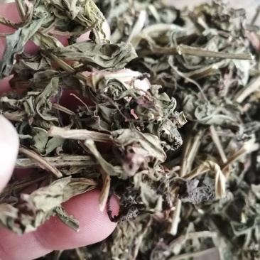 灵香草，颜色青绿干度足够的灵香草现货供应