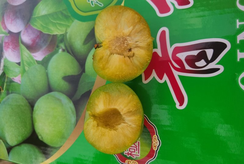 特优级贞丰青脆李
