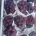 藤稔乒乓球葡萄大量供应，诚信经营，产地直供