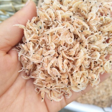 小虾皮鲜咸味，产地直发，不包邮费，大量现货