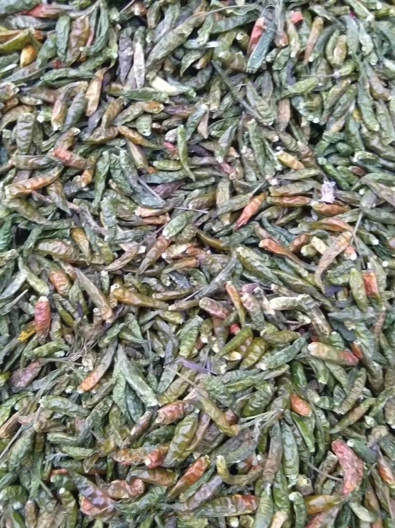 干辣椒