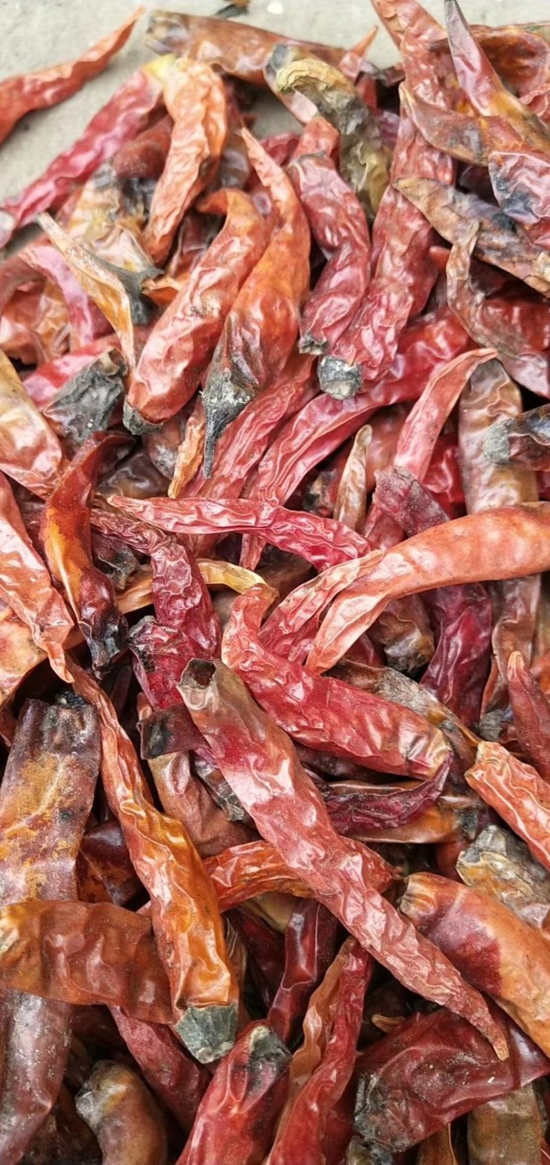 干辣椒