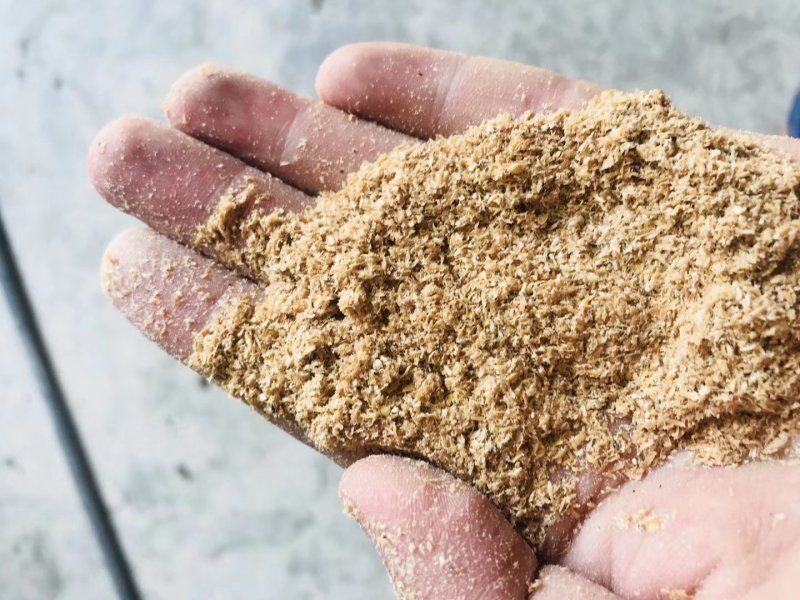 小米糠小米油糠鸡鸭鹅专用饲料适口性好增肥快