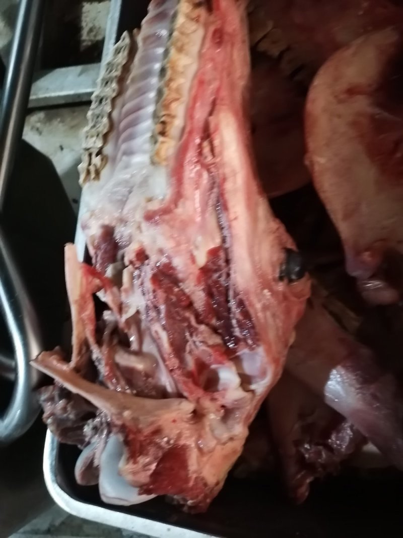 精修去油纯大脸不带小脸口条