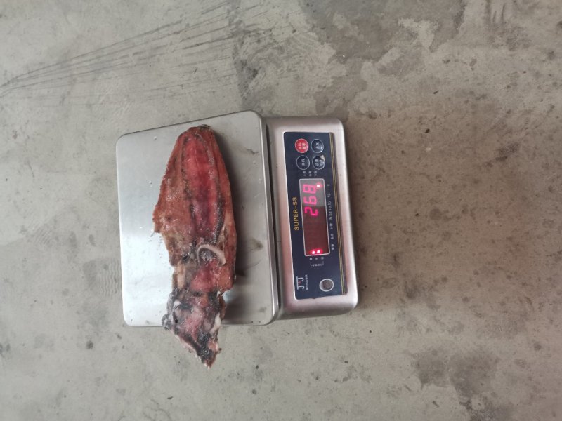 南沙群岛红鱿鱼过来不多价格便宜