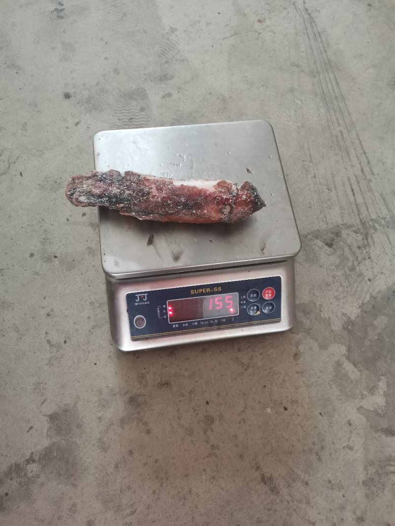 南沙群岛红鱿鱼过来不多价格便宜