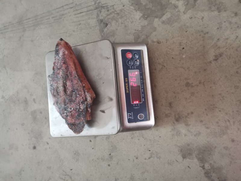 南沙群岛红鱿鱼过来不多价格便宜