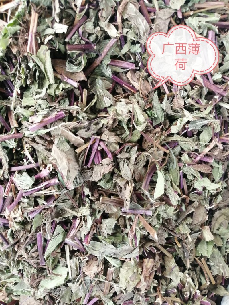 薄荷，广西薄荷切片，薄荷叶，颜色青绿，干度好气味浓！