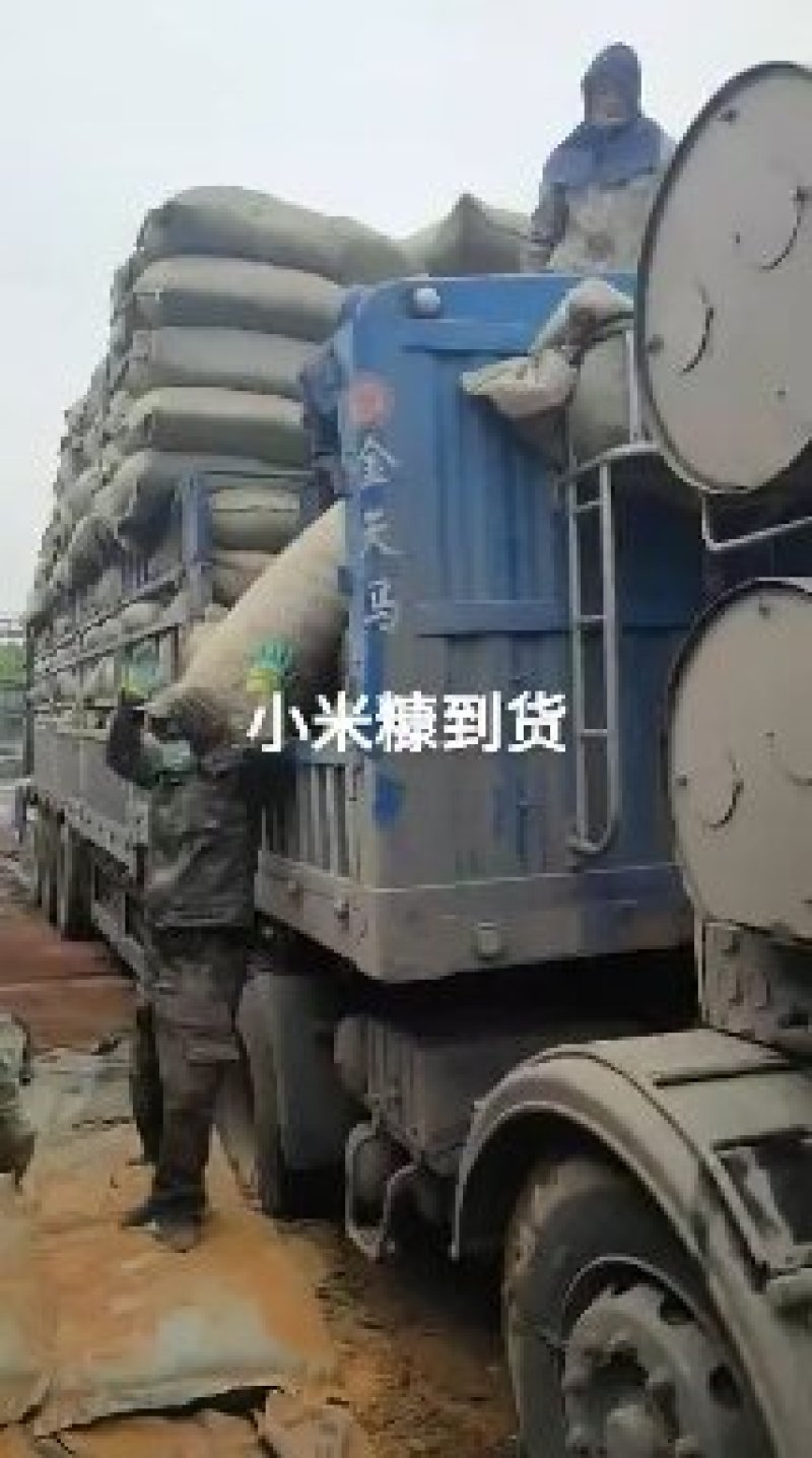 厂家供应小米壳糠小米糠小米油糠脂肪高气味好