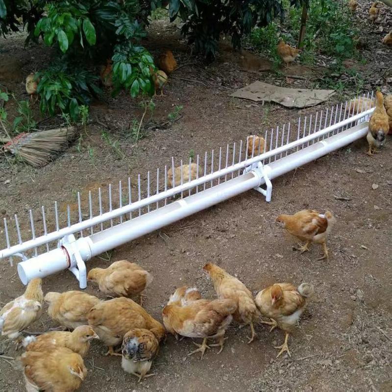 新款鸡用自动饮水器鸡鸭鹅用自动饮水喂水器水槽养鸡设备用品