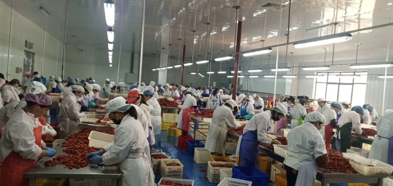 德贤冷冻食品精品网红龙虾尾连云港德贤冷冻食品有限公司