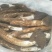 天然野生菌，又叫鸡枞菌，来自大自然馈赠，支持线上交易。