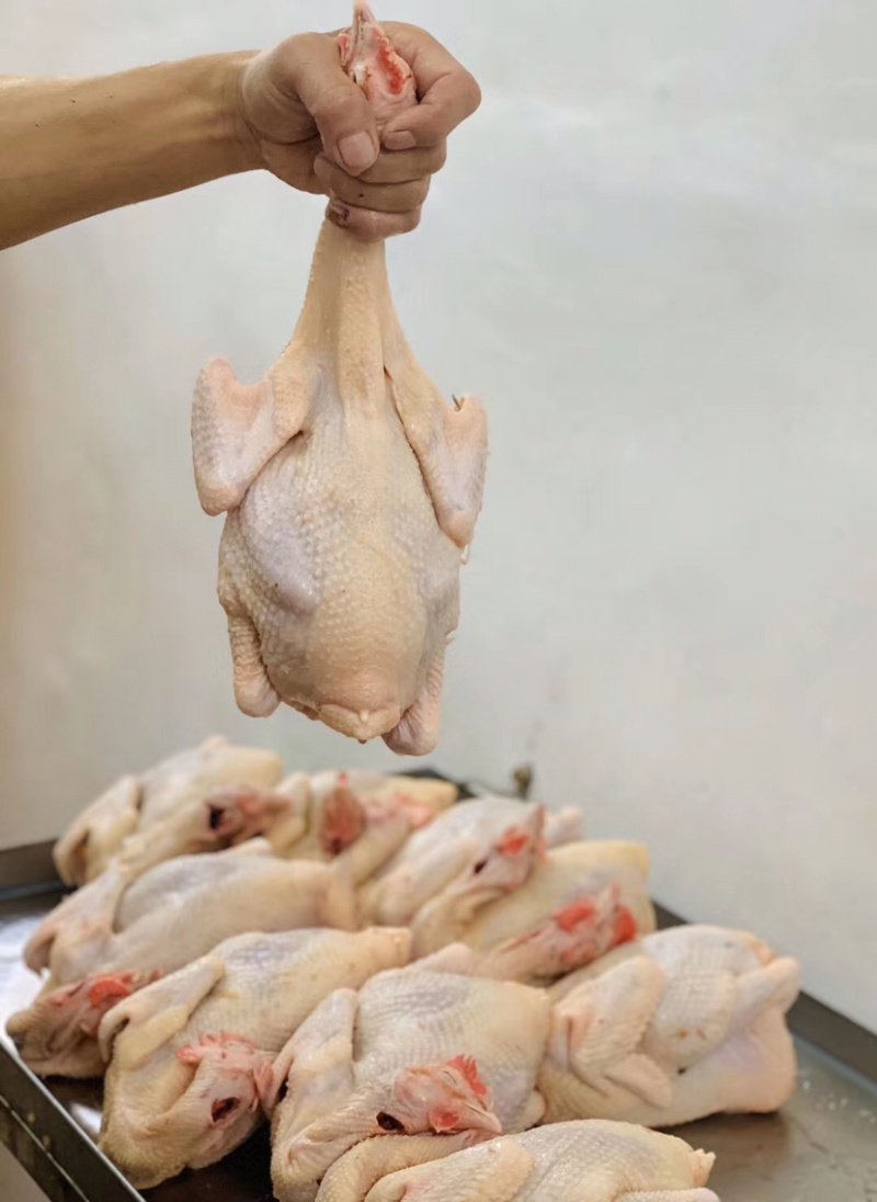 三黄鸡