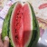 蒙阳处理瓜