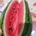 蒙阳处理瓜