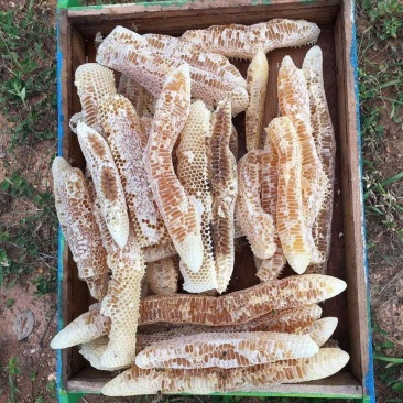 缅甸进口枣花蜜天然成熟蜜质量品质有保证无添加无浓缩