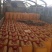缅甸进口枣花蜜天然成熟蜜质量品质有保证无添加无浓缩