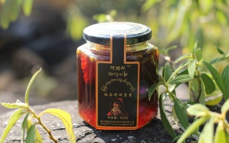 缅甸蜂蜜血珀蜜天然成熟稀有蜜质量品质保证礼盒装