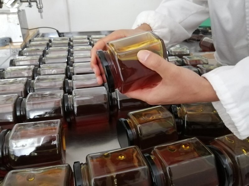 缅甸蜂蜜血珀蜜天然成熟稀有蜜质量品质保证礼盒装