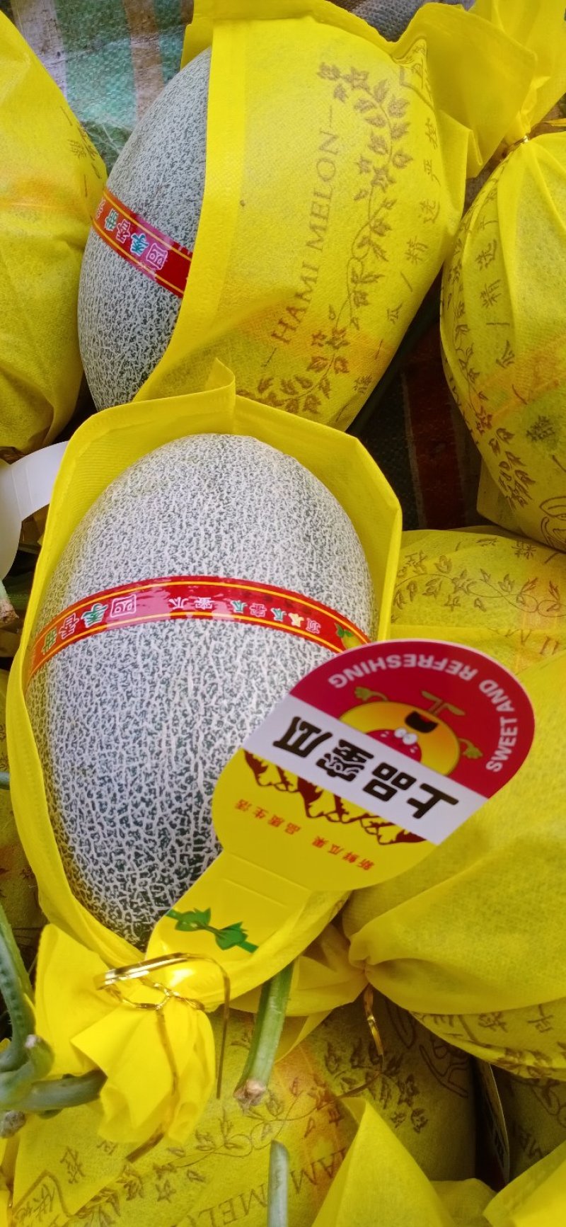 【热销】精品哈密瓜晓蜜25哈密瓜产地直销保质保量实力代办