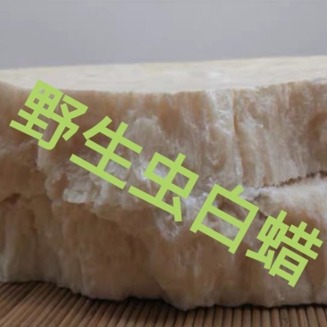 精品虫白蜡