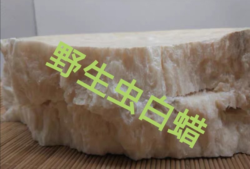 精品虫白蜡