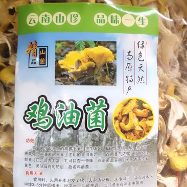 精品人工鸡油菌1000克包邮