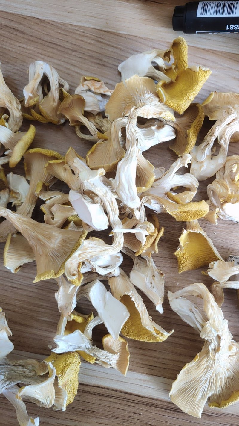 精品人工鸡油菌1000克包邮
