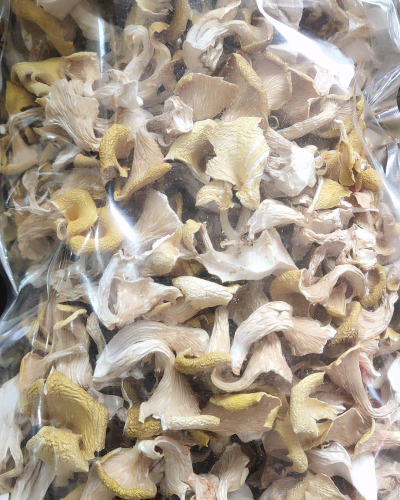 精品人工鸡油菌1000克包邮