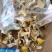 精品人工鸡油菌1000克包邮