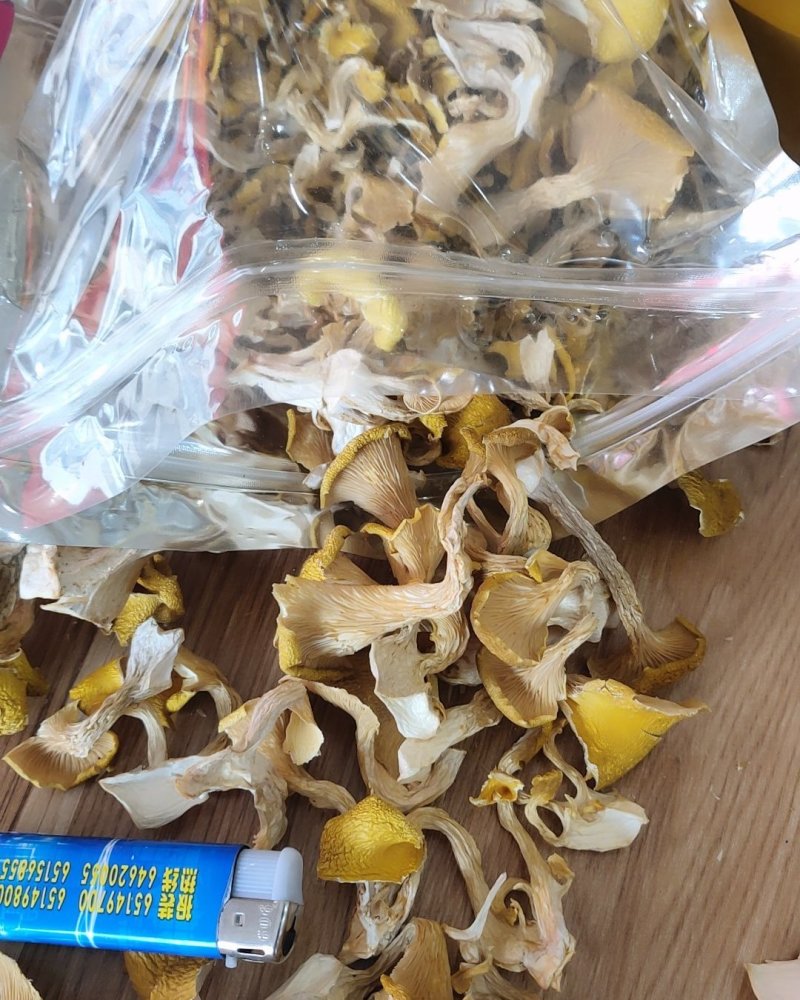 精品人工鸡油菌1000克包邮