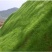 草坪种子混播四季青草籽四季种狗牙根早熟黑麦草高羊茅护坡草