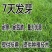 草坪种子混播四季青草籽四季种狗牙根早熟黑麦草高羊茅护坡草