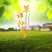 草坪种子混播四季青草籽四季种狗牙根早熟黑麦草高羊茅护坡草