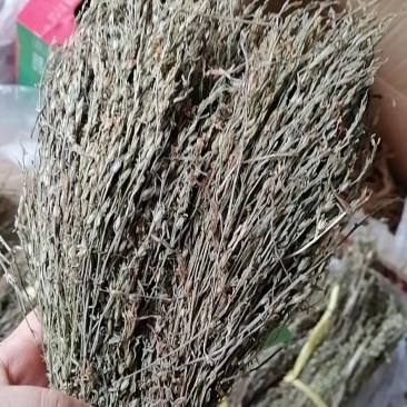 独脚金批发价有须要联系我