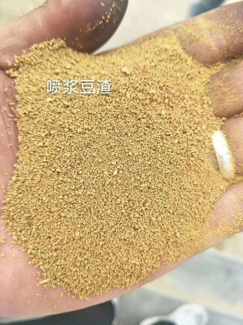 豆渣喷浆豆渣植物性饲料原料饲料添加剂喷浆豆渣