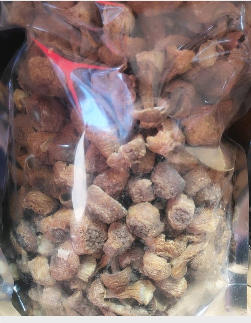 精品姬松茸10斤以上包邮
