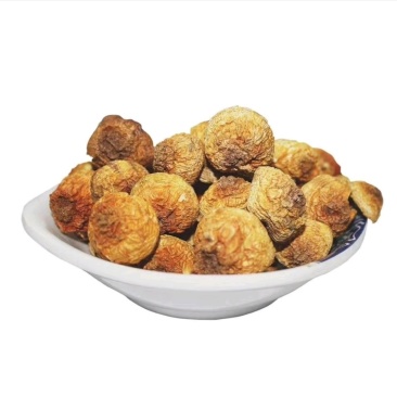 精品姬松茸10斤以上包邮