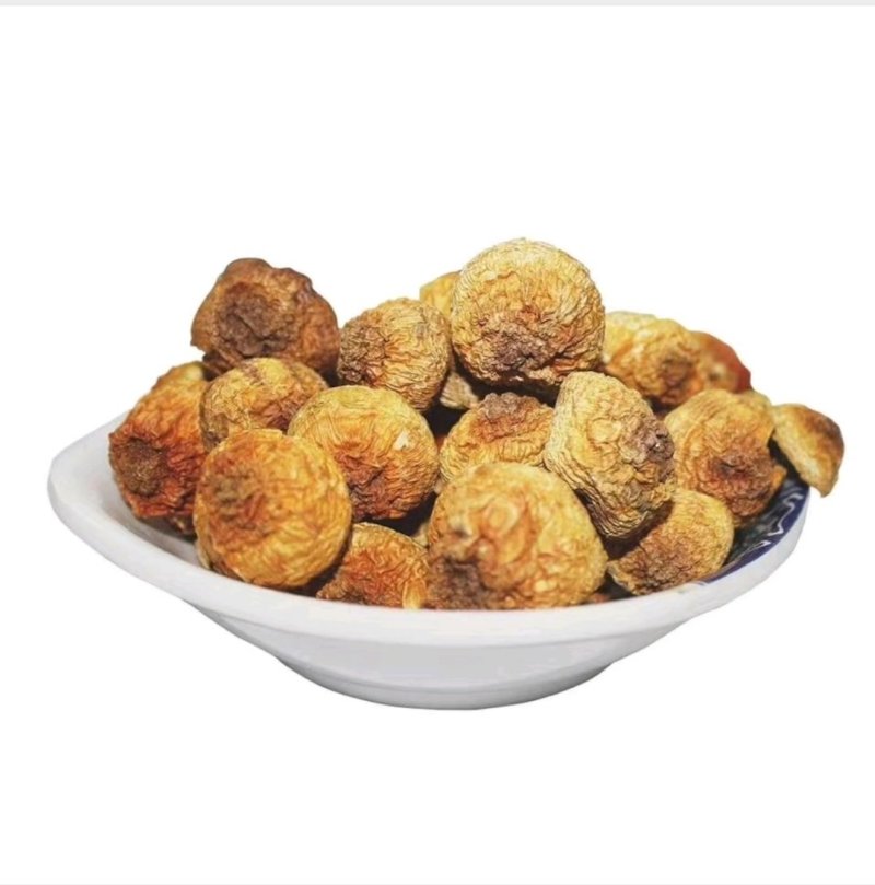 精品姬松茸10斤以上包邮