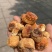精品姬松茸10斤以上包邮
