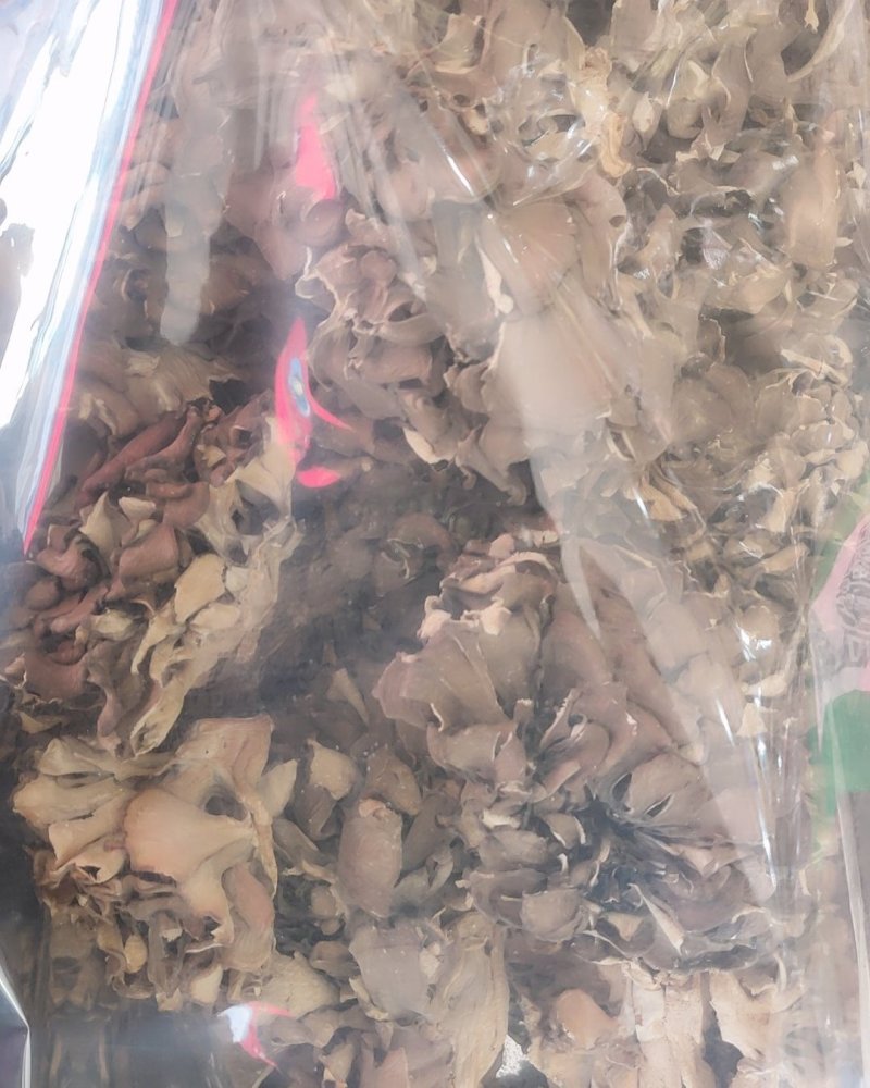 精品野生灰树花10斤以上包邮