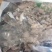 精品野生灰树花10斤以上包邮